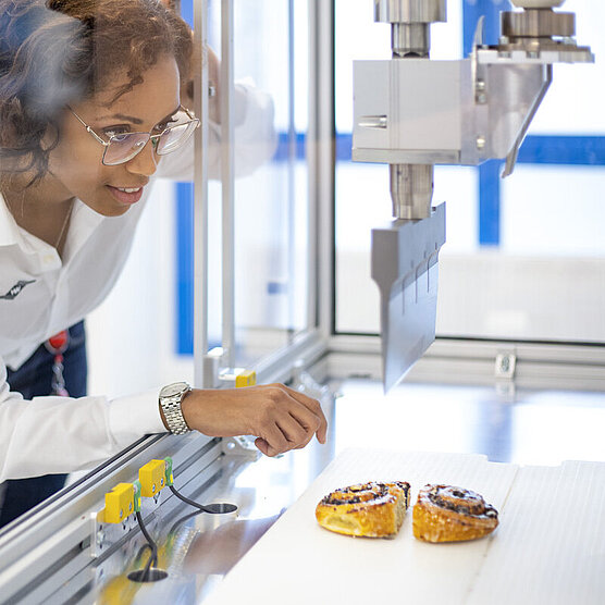 Experimentos de laboratorio para el corte de un rollo de amapola